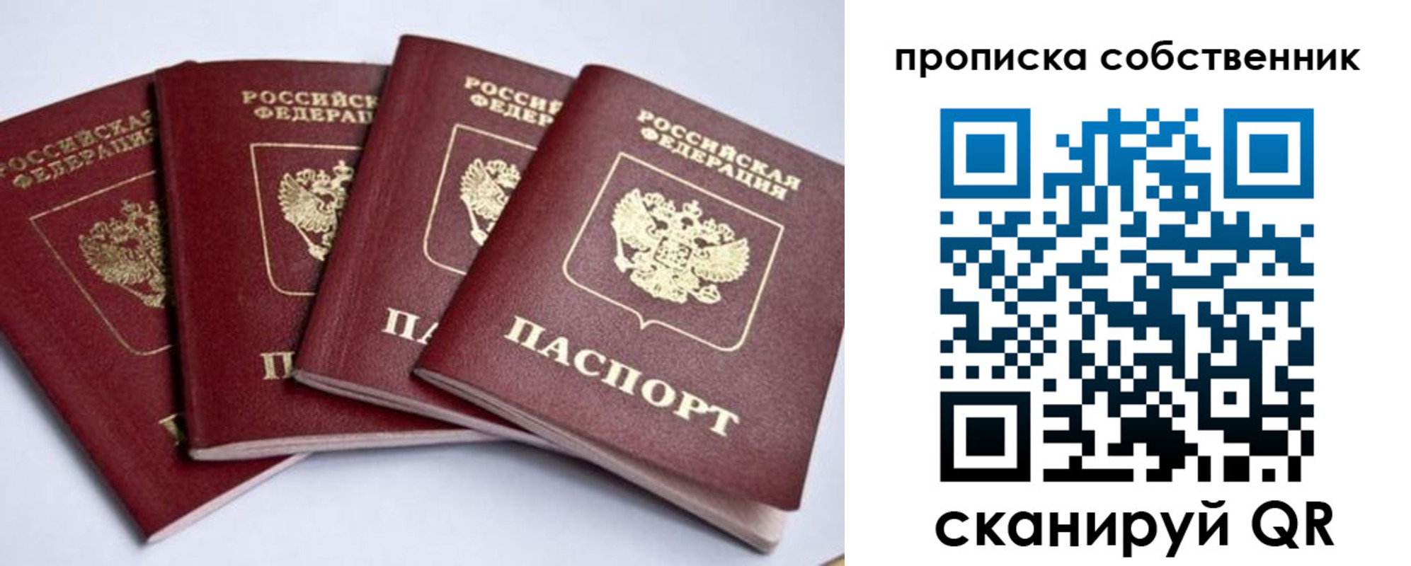 прописка для школы в Пересвете